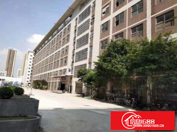 坪山坑梓新出原房东红本厂房1500平带现成无车间出租