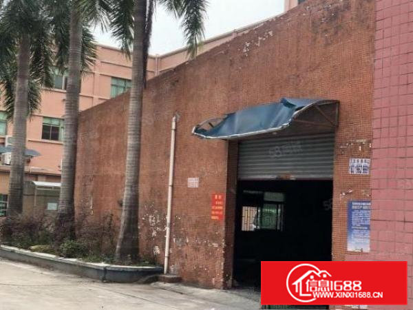 横沥镇单一层滴水6米高特惠价7块1000平招租