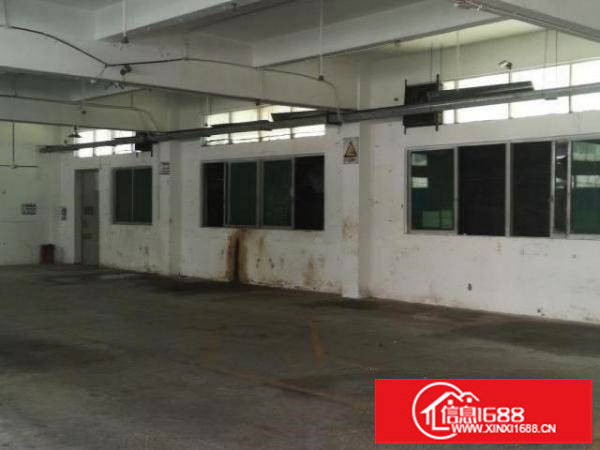 整栋红本独门独院厂房宿舍招租