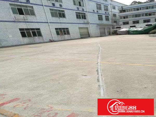 龙岗坪地新出独院3000平厂房出租