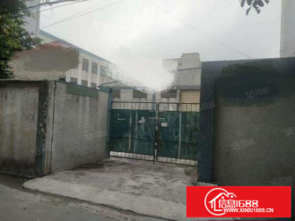 可办环坪向东新出独门独院单一层800平厂房出租滴水高7米