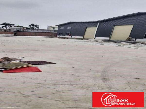 可分租全新钢构厂房发财致富的好地方