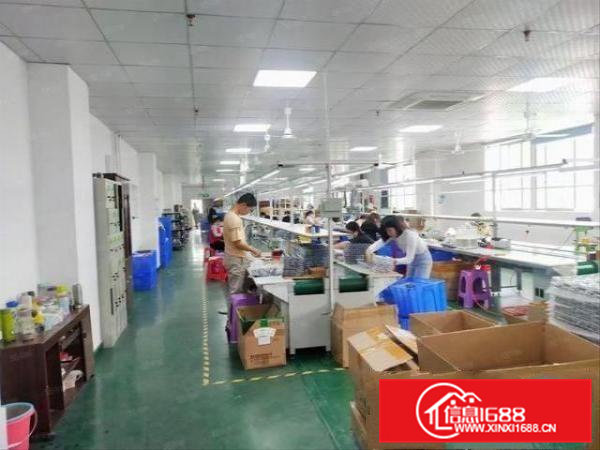 大岭山金桔村楼上整层豪华装修厂房860平米出租