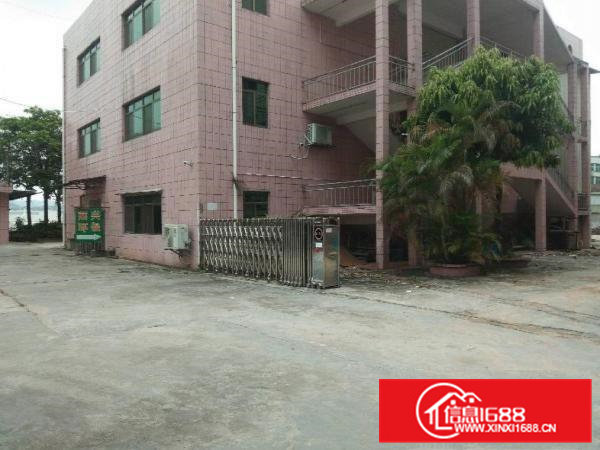 大岭山马蹄岗独院楼上900平厂房出租