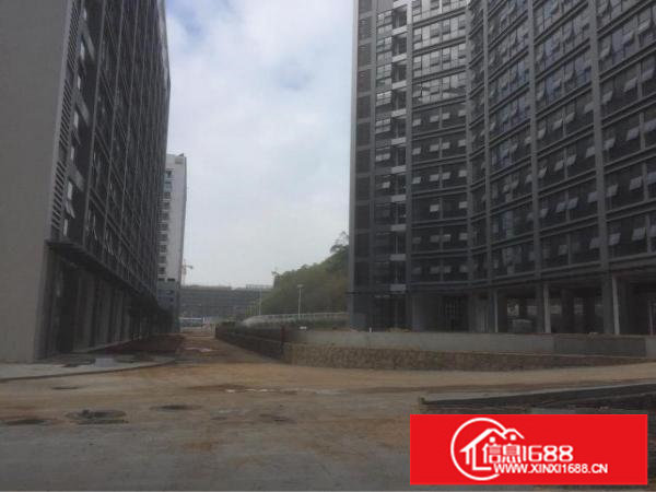 龙岗区高新产业园十五万平米对外招租，可分层分栋租