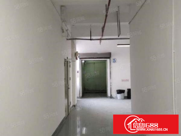 大芬东大街28元厂房130平270平560平不限行业招租