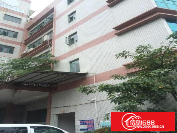 布吉曼城一楼1000平方