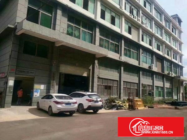 西乡107国道边上有红本厂房A栋1到5层10500