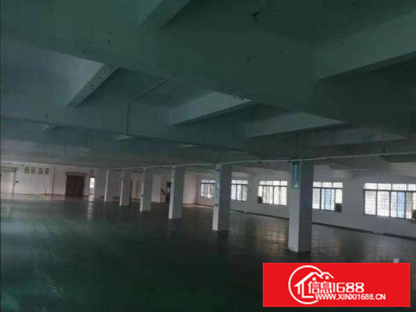 塘角带地坪漆标准独院厂房800平方出租