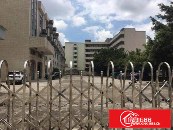 常平镇原房东独门独院厂房出租实际面积空地超大