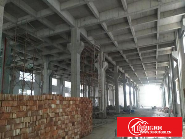 狮山镇，国有证，全新标准厂房出租，可过环评！