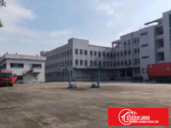 高埗精装修办公楼900平方出租