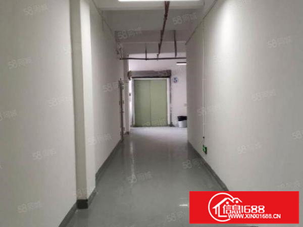 大芬东大街28元厂房130平270平560平不限行业招租