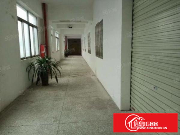 万江流涌尾工业园环城路外，超靓厂房，大小可分租