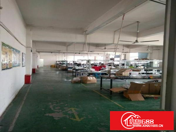 福民新出五楼1250平方带装修