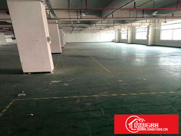 凤岗电子组装加工电商仓库厂房出租3000平有办公室