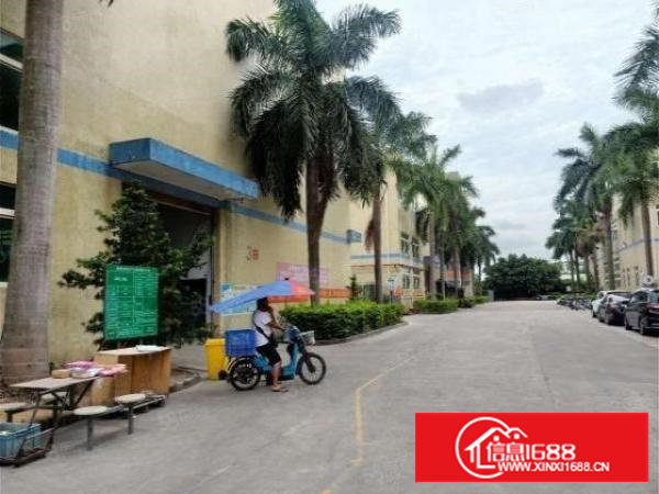 宝安石岩塘头第三工业园新出原房东红本厂房出租整层2000平