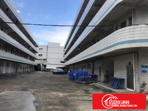 坪山坑梓原房东新出1楼13002楼300200平标准厂房