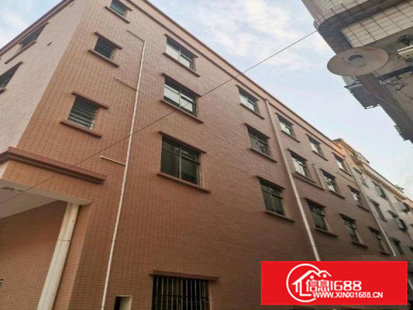 全新厂房写字楼整栋出租