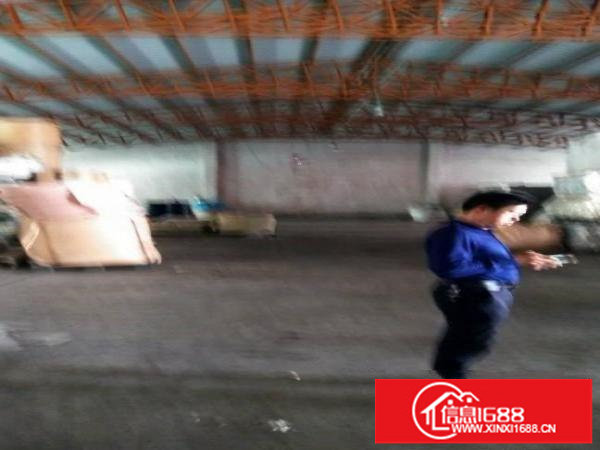 龙岗新出2500平米独院钢构厂房