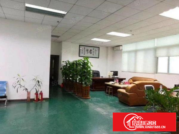 塘厦大坪原房东一楼1000平方,层高6米带牛角,可分组两家