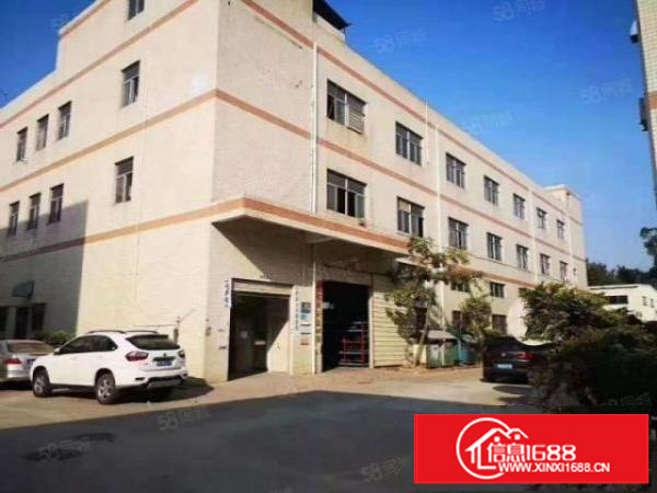 标准独院厂房国有土地可分租消防喷淋超大空地独立使用