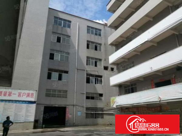 乐从独院标准30000平方，大小可分租，可办环评，交通便利A