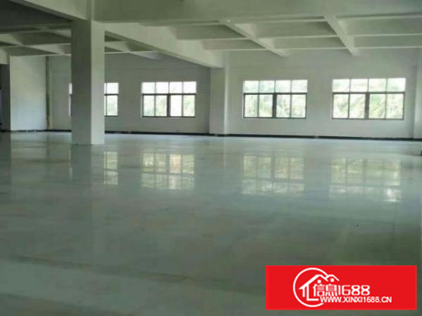 万江石美带现成办公室标准一楼1100平方急租交通方便空地大
