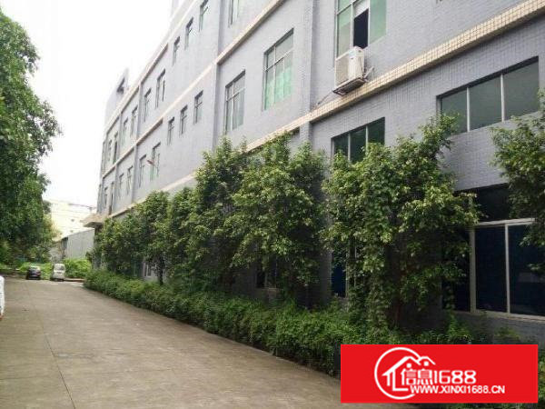 布吉花园式独院厂房出租8000平米