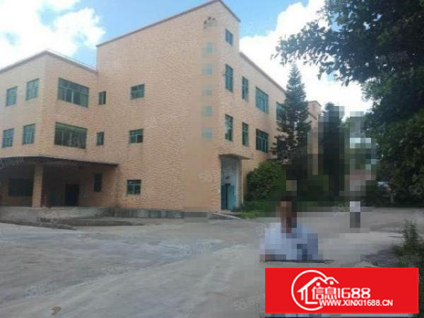 观澜牛湖新出原房东花园式独院厂房1到3层4500平出租零公摊