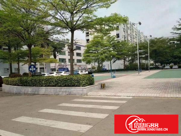 清溪九乡金竹街，楼上新出1000平，只要13元