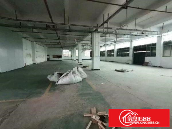 大岭山厚大路附近新出一楼1100平厂房出租形象好交通便利