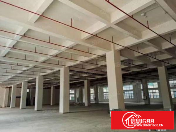 寮步华南工业城独院标准厂房一楼一层2000平方招租