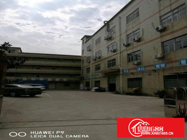 龙岗南联原房东楼上1300平方实用面积出租