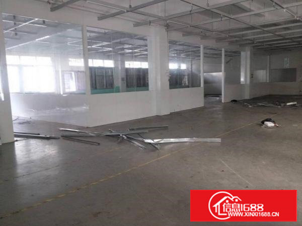 厦岗两层独门独院共3100平方，也可分两独院或分租