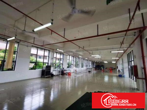 厂房价！写字楼形象！布吉上李朗工业园526平研发办公厂房出租