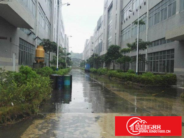 11万平米红本花园式厂房招租