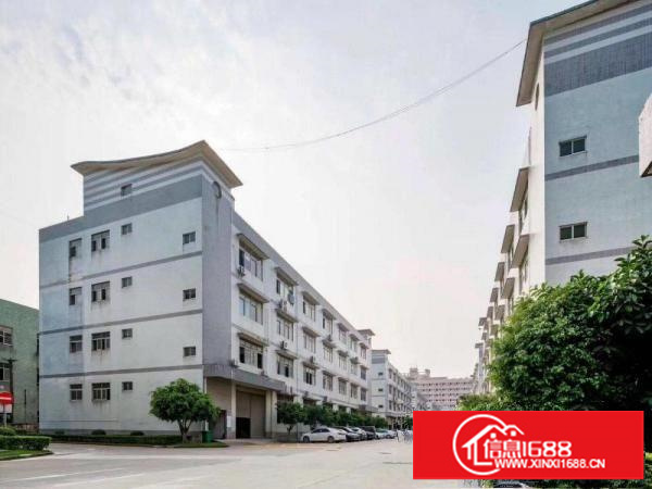 宝安沙井新出楼上300平精装修不用转让费