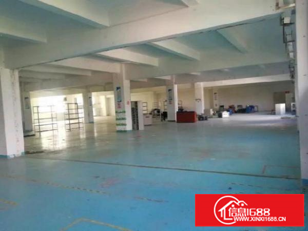 观澜便利厂房出租