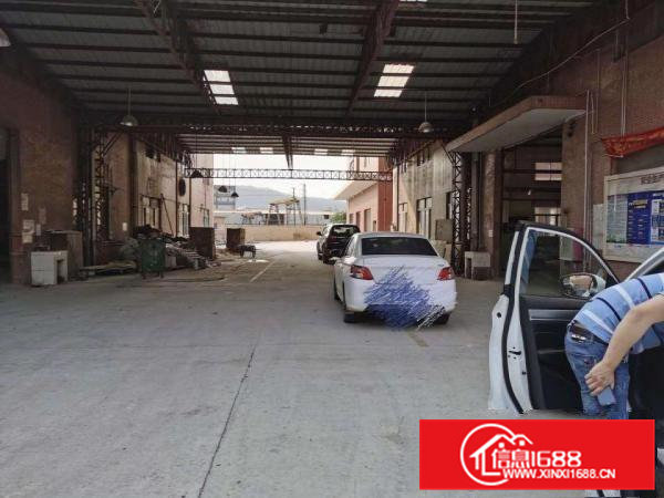 大岭山新出钢构单一层厂房2000平优惠出租高9米