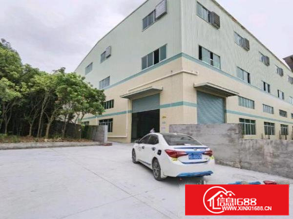 全新带牛角标准厂房滴水高6.5米