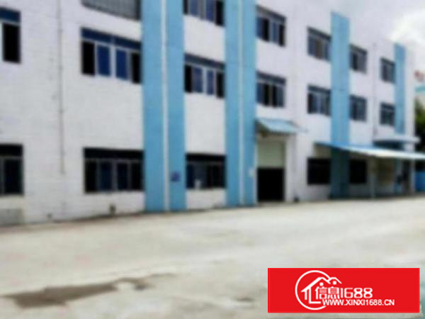 万江环城路外标准1800或1000㎡出租、水电齐全