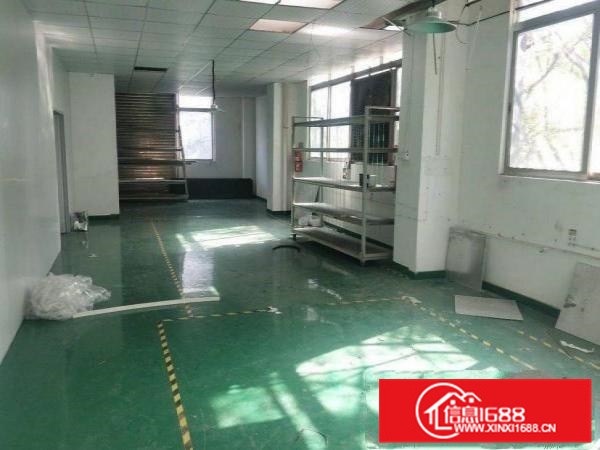 惠阳新墟原房东物业现成装修整层1380平可分租