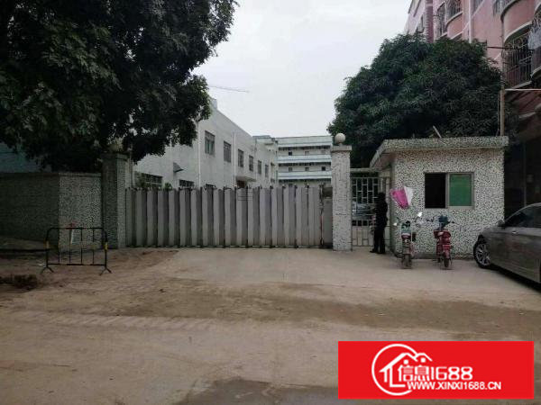 平湖辅城坳楼上带装修1000平出租