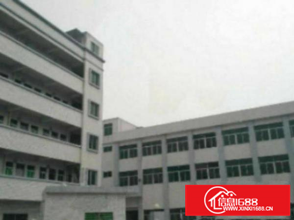 厂房1300平方米带装修厂房形象好