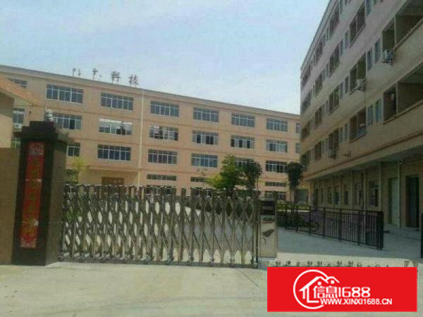 大岭山新出向东三工业区楼上1500平豪华装修办公室