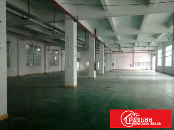 凤岗高速口1700平方标准带装修带消防水电出租