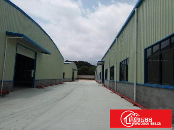 新圩全新单一层钢结构20980平方米招租（可分租