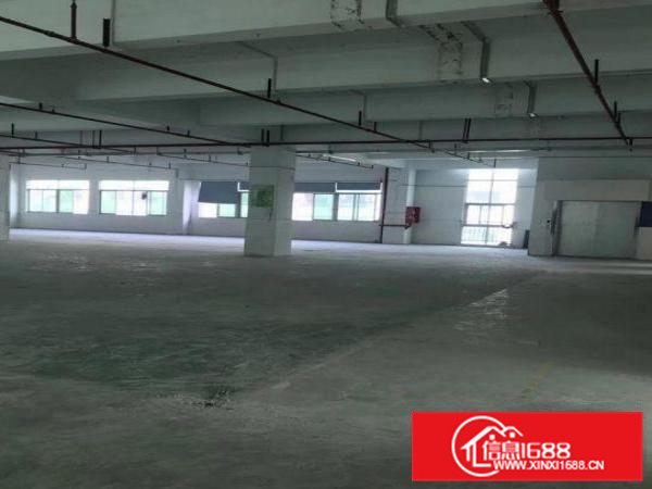 惠阳新墟带卸货平台一二楼约1300平方红本厂