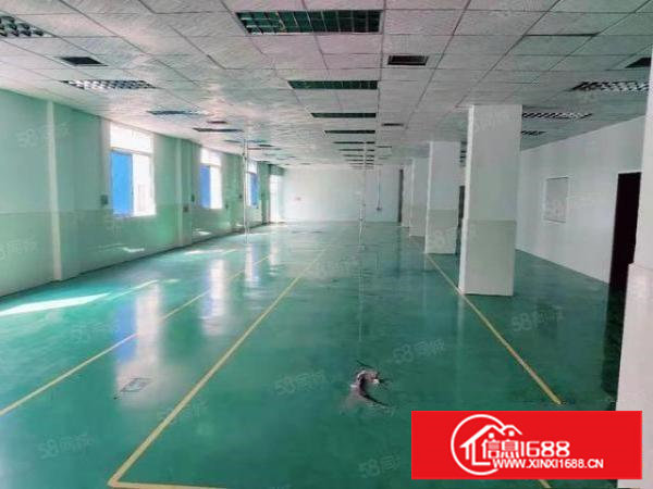 （经典独院）长安镇咸西社区新空出标准独院厂房4500平方出租